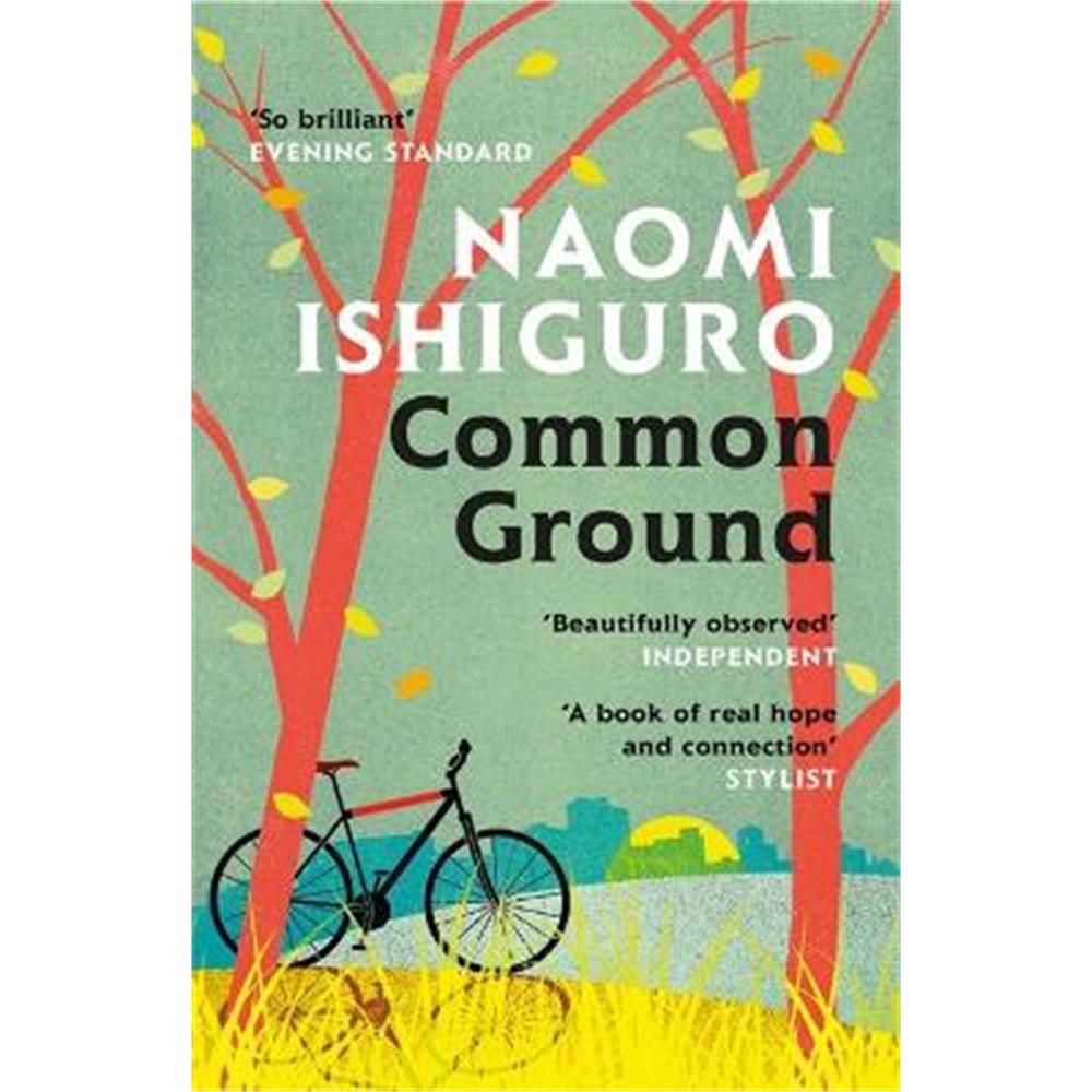 Common Ground: Did you ever have a friend who made you see the world differently? (Paperback) - Naomi Ishiguro